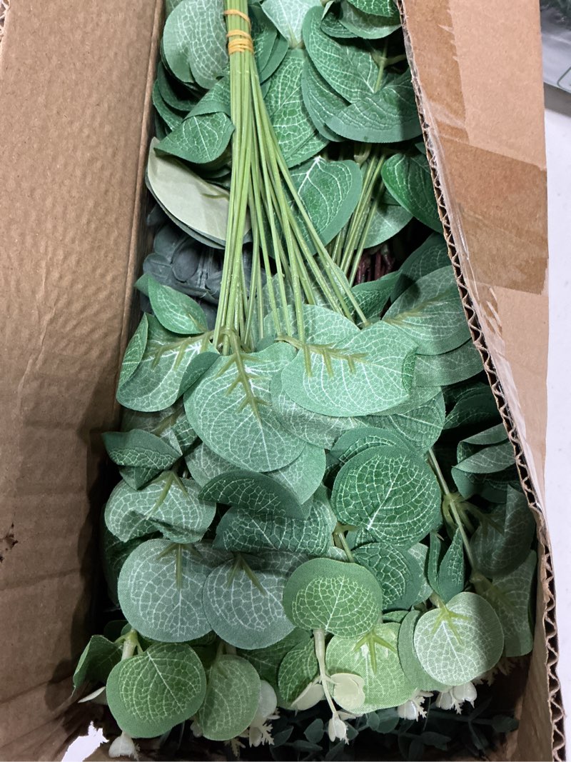 Condition photo showing New/Like New for giegxin 180 pcs 3 kinds mixed artificial eucalyptus leaves stems bulk silver dollar leaves picks dried eucalyptus bundle faux spray for wedding vase bouquet floral arrangement (green) green 180