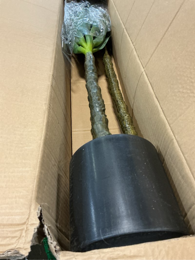 Condition photo showing As Is for waoops artificial tree 5.3ft faux agave plant with 3 heads in plastic pot fake tree for home decor indoor or outdoor office decoration housewarming gift 4ft 10in