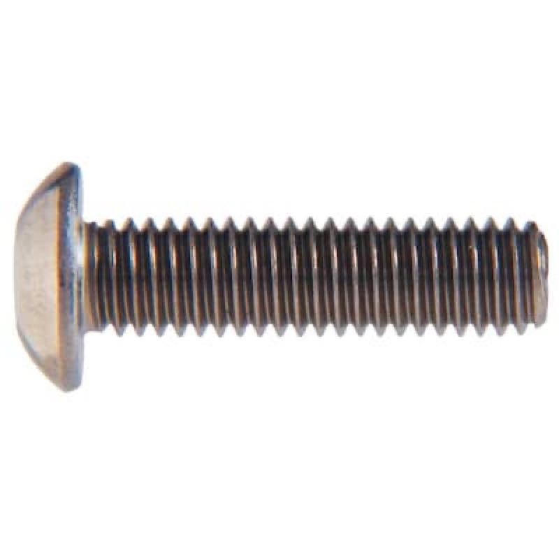 Hillman 5mm - 0.8 x 20-mm Socket hex -Drive Cap screws ( 2 -Count )