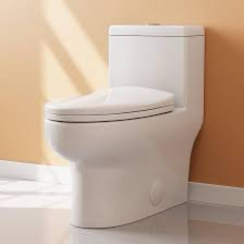 Dual Flush Elongated Toilet with Soft Close Seat, High-Efficiency Supply, Standard Bathroom Toilet 12" Rough-In, White Finish