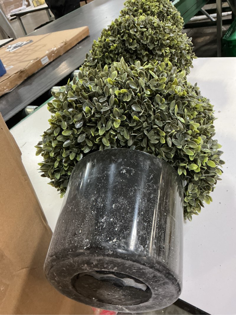 Condition photo showing As Is for my texas house 48" swirl boxwood topiary