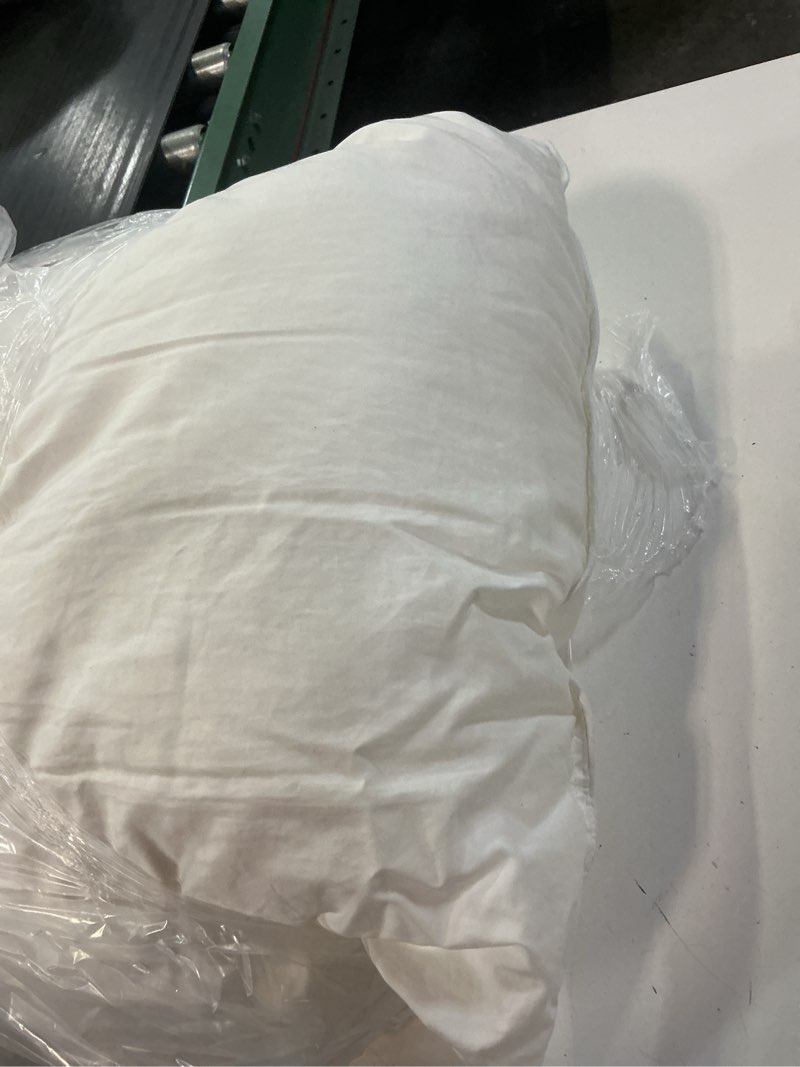 Condition photo showing Good Condition for premium down alternative pillow, standard, soft