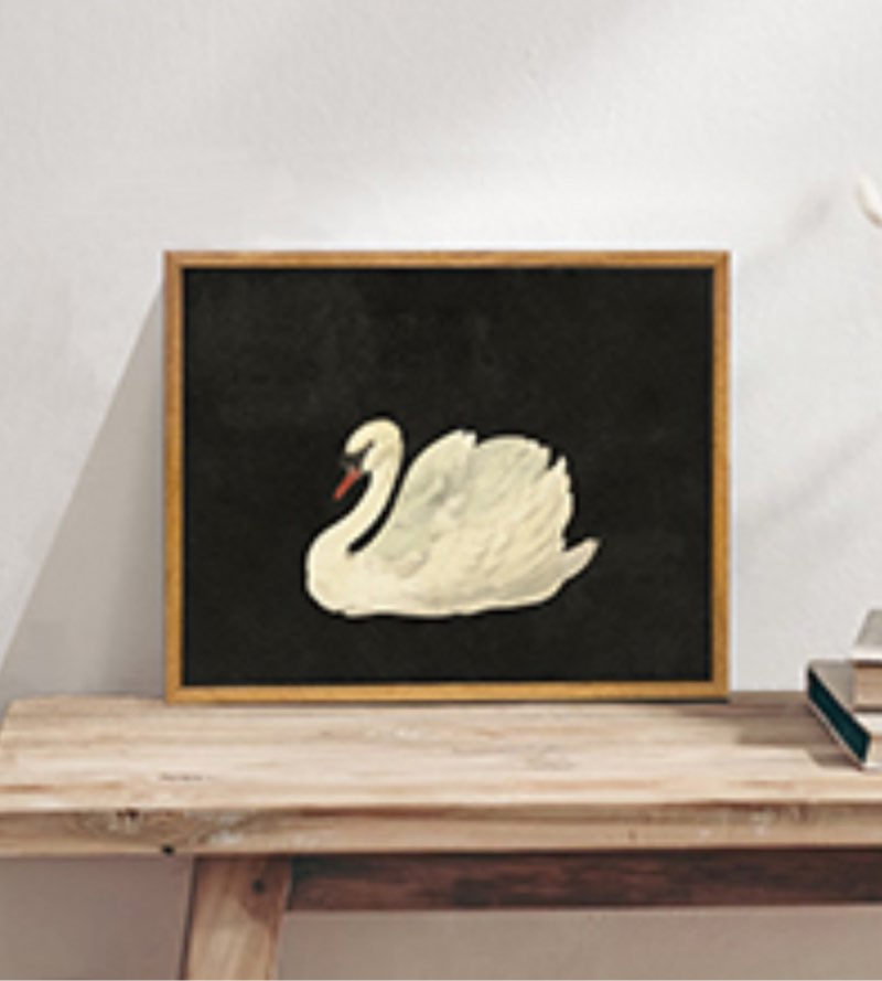White Swan Print | Frame option | Black Background, Vintage Poster, Birds Painting, Apartment Decor, Horizontal / Vertical / Square Wall art