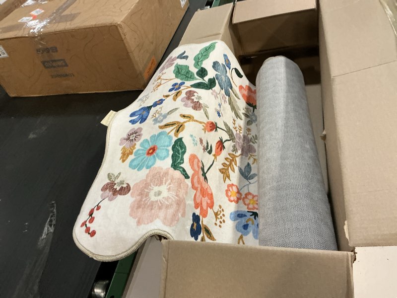 Condition photo showing Good Condition for Lahome Floral Washable Rugs, 4X6 Pink Rugs for Bedroom Girls Ultra-Thin Soft Living Room Rug, Non-Slip Stain Resistant Boho Throw Carpet for ?Nursery Office, Light Pink Light Pink 4' x 6' (Rectangular)