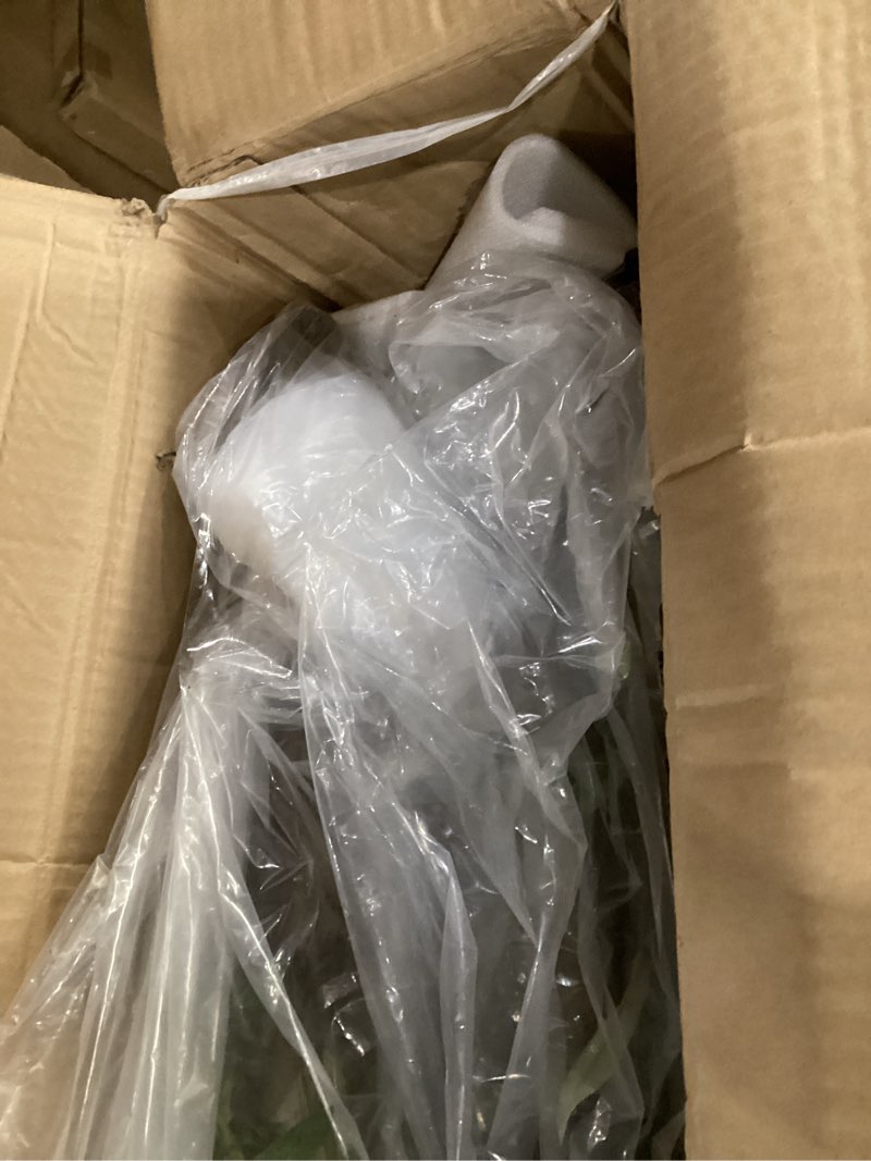 Condition photo showing New/Like New for Feelead Olive Tree x2