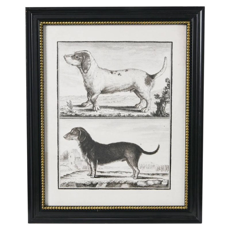 Vintage Reproduction Dog Print with Solid Wood Frame