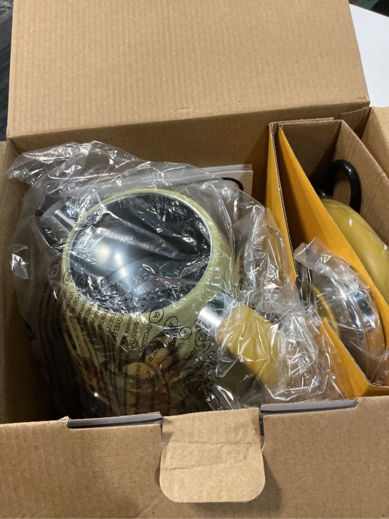 Condition photo showing Good Condition for hazel quinn x eduardo recife electric kettle - 1200w fast water boiling, 1.7l/57oz, all 304 stainless steel interior, bpa-free, auto shut-off, cordless retro teapot with thermometer - floral patterned floral painted design