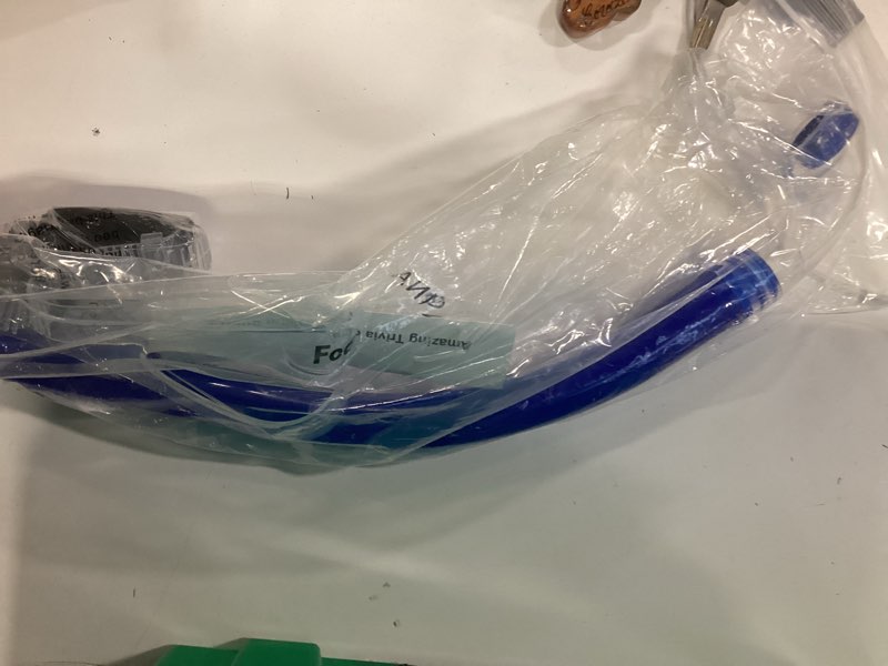 Amazing Trivia of Swimming Snorkel