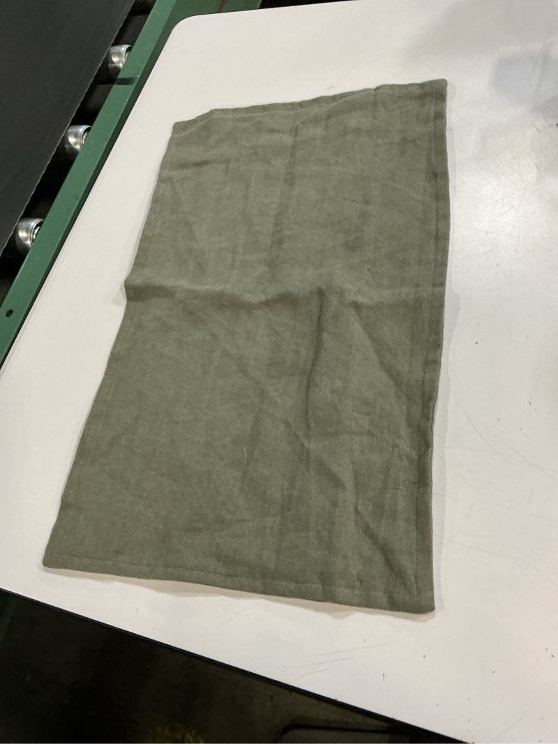 Condition photo showing Good Condition for quince contrast european linen pillow cover color pine 12x20