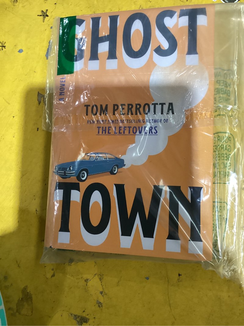 Condition photo showing Good Condition for ghost town: a novel
