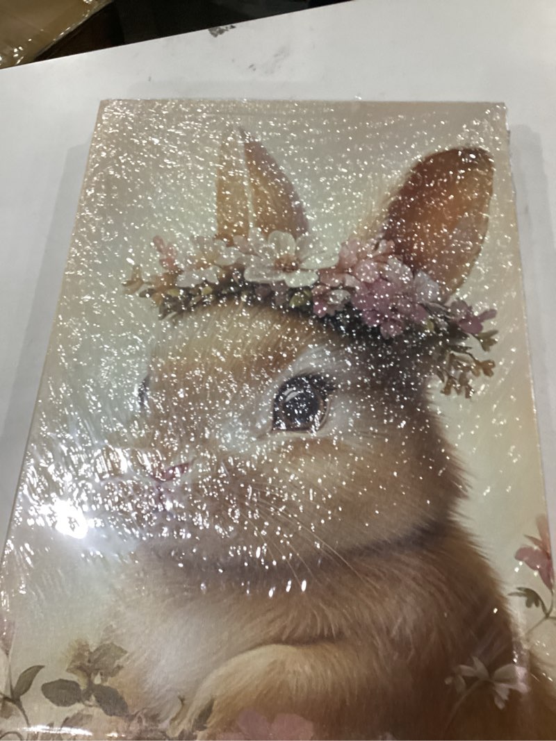 Condition photo showing New/Like New for Rabbit Canvas Wall Art Rabbit and Flower Picture Prints Bunny Poster Cute Animal Paintings for Kids Room Bedroom Nursery Decor Framed(Animal-1,16.00" x 24.00") Animal-1 16.00" x 24.00"