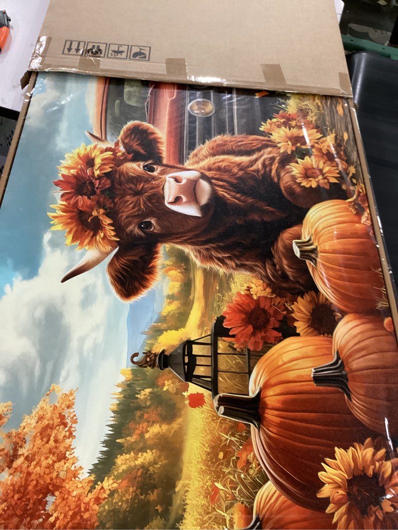 qzqcblc large framed wall art  cow pumkins and truck 29x58 