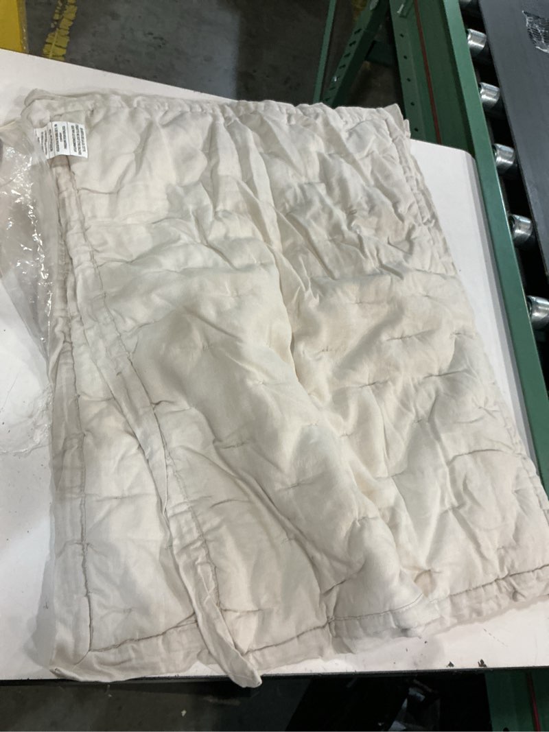 Condition photo showing Good Condition for european linen sham set of 2, beige, standard 