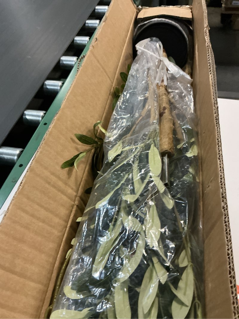 Condition photo showing Good Condition for Bellacat Faux Olive Tree 7ft?Olive Trees Artificial Indoor with Natural Wood Trunk and Realistic Leaves and Fruits. 7 Feet(84in) Fake Olive Tree for Home House Office Décor. 1 7ft