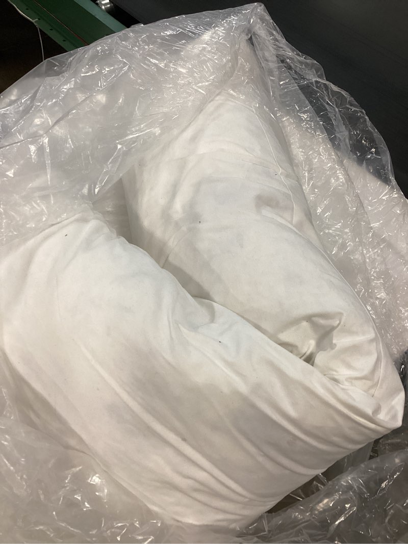 Condition photo showing As Is for premium feather pillow insert (1pc), 12x48, no color