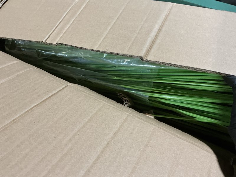 Condition photo showing As Is for Melorca&Guilla Artificial Plants,Artificial Tall Grass, 2Pack 49" Faux Grass Plant Indoor Outdoor Fake Tall Grass Fake Plants for Shop Garden Office Home Décor (2, Dandelion, 49 inch) 49 inch Dandelion 2