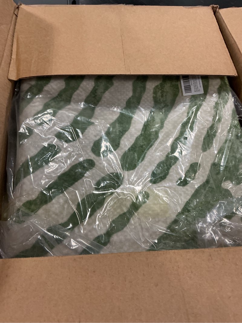 Condition photo showing New/Like New for Bavni 8x10 Area Rugs, Abstract Modern Living Room Rugs, Machine Washable Rug Non Slip, Indoor Soft Low Pile Rug, Area Rugs for Living Room, Playroom, Pale Green White 8'x10' Pale Green White