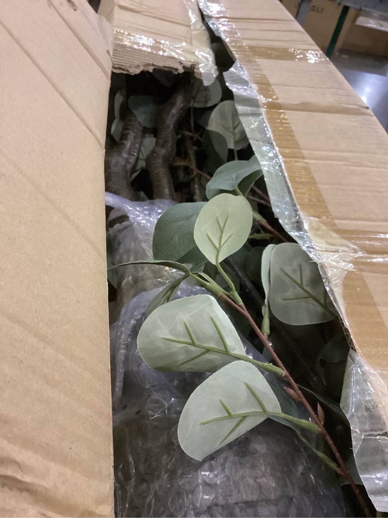 Condition photo showing As Is for 6.9ft Tall Artificial Eucalyptus Trees, Realistic Eucalyptus Tree with Sturdy Plastic Pot, Artificial Plants Tree for Home Office Indoor Outdoor Party Wedding Christmas Decor Eucalyptus Tree 3 6ft 11in