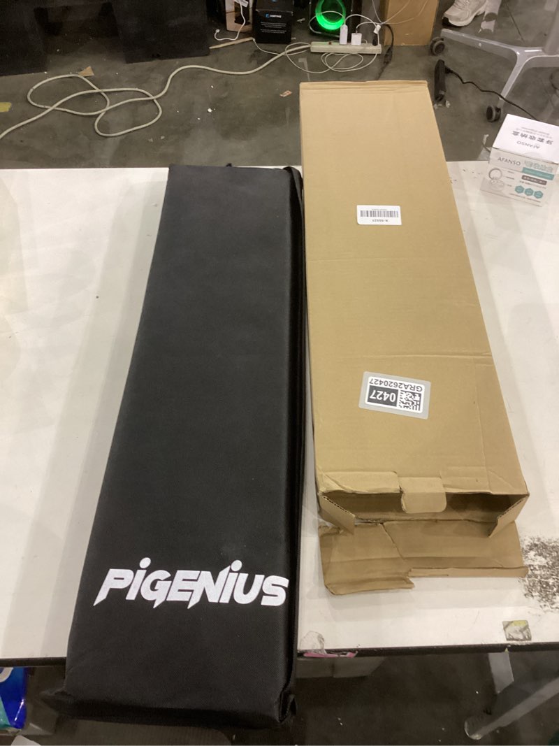 Condition photo showing New/Like New for Pigeniu