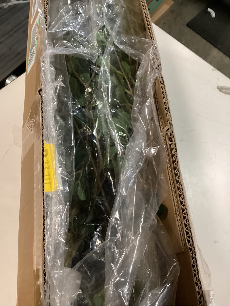 Condition photo showing New/Like New for Black Olive Tree 7ft - Faux Black Olive Tree with Natural Trunk and Realistic Leaves - Artificial Shady Lady Tree for Modern Home Office House Living Room Decor