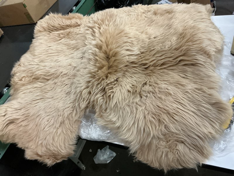 Condition photo showing Good Condition for Beige Shag Faux Sheepskin Washable 4X6 Fur Rug for Living Room Bedroom Fluffy Furry Area Rug Rectangle Nursery Decor Rug 4' x 6' (Sheepskin Fur) Beige