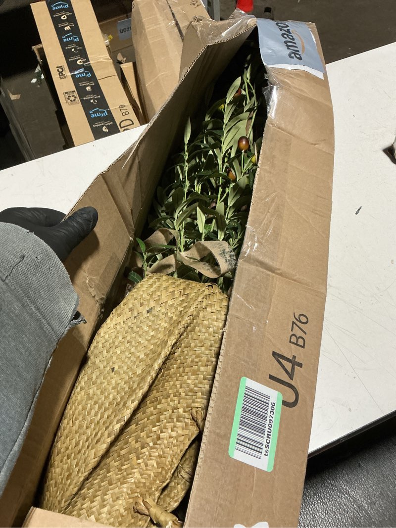 Condition photo showing Good Condition for 6FT Artificial Olive Tree - Indoor Tall Faux Olive Trees with Planter&Basket, Large Fake Olive Silk Tree Realistic Olive Plants with Branches and Fruits for Home Decor Office Living Room 6FT Olive Tree with Planter&Basket