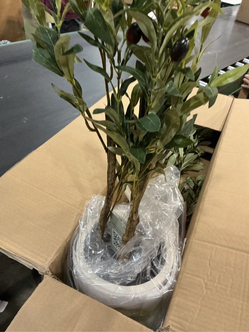 Condition photo showing New/Like New for Artificial Fake Olive Tree 4FT Tall 1Pack with White Planter Faux Silk Olive Tree for Home Living Room Office Decor Faux Artificial Plants Indoor with Fruit & Free Moss 1 4ft