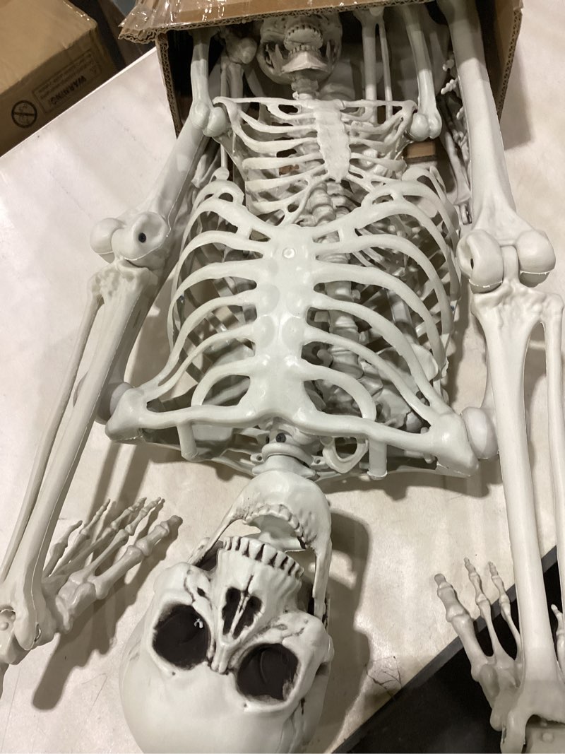 Condition photo showing Good Condition for posable human adult (5' 4") & child (3') skeleton value 2 pack - life size, articulated limbs & bones model stay in place, weather resistant indoor/outdoor decoration- anatomical science & biology