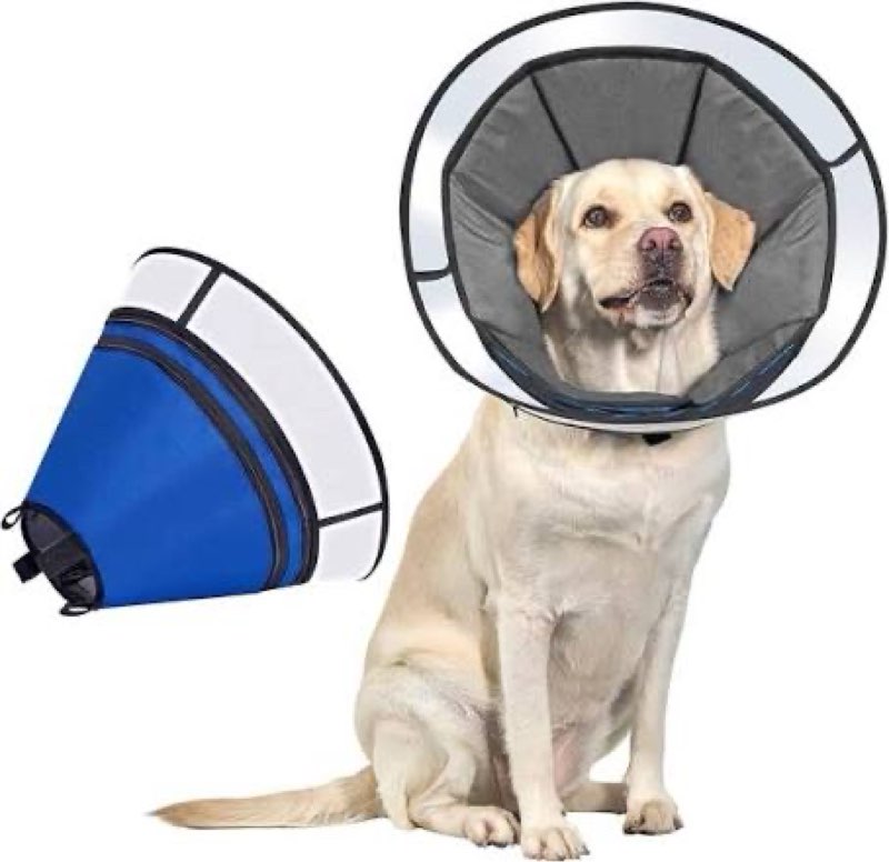 soft dog cone collar after surgery – adjustable recovery cone for medium & large dogs – double-layer