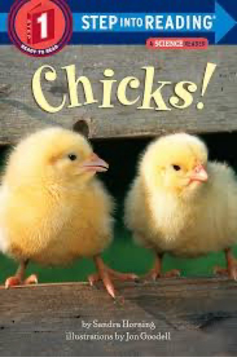 Chicks step one step into reading 