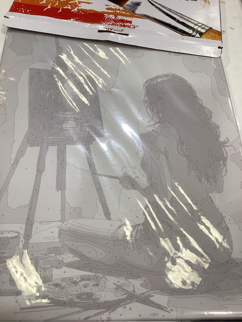 Condition photo showing New/Like New for black and white art paint by numbers kit for adults - diy girl painting forest landscape on easel canvas 16x20in, framed acrylic paint set, suitable for beginners, art for home decoration or gifts fm05896-16x20in framed