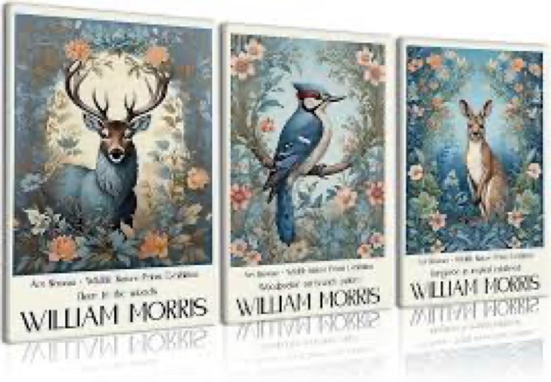 3 Pcs William Morris Canvas Wall Art Vintage Animal Botanical Style Deer Bird Kangaroo Poster Print 