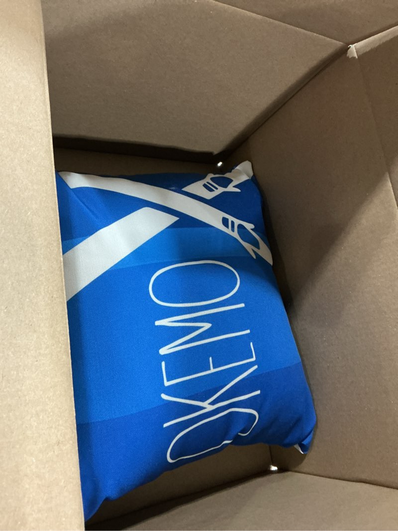 Condition photo showing Good Condition for Okemo Vermont Ski Throw Pillow 18x18