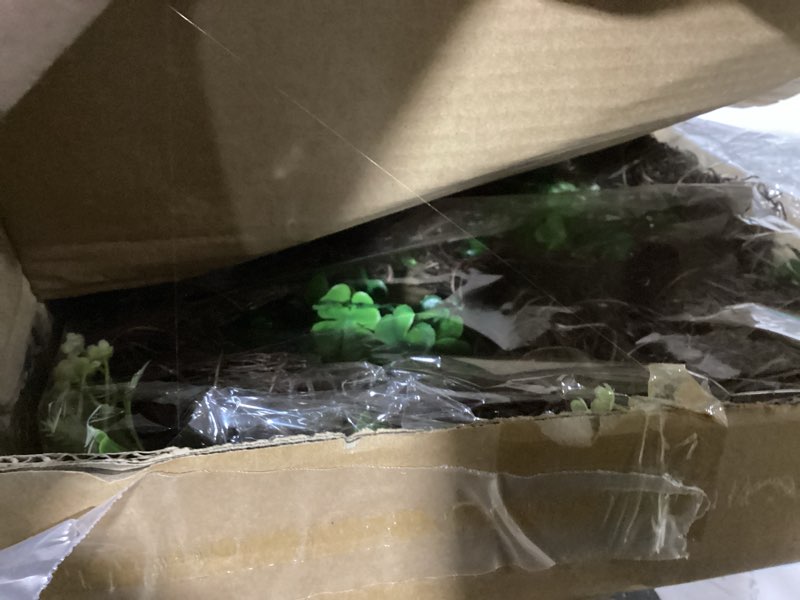 Condition photo showing Good Condition for st patricks day decorations st patricks day wreaths for front door, shamrock wreath with 20 green lights timer clover flower 18 inch artificial spring wreath st patricks day decor for home wall window
