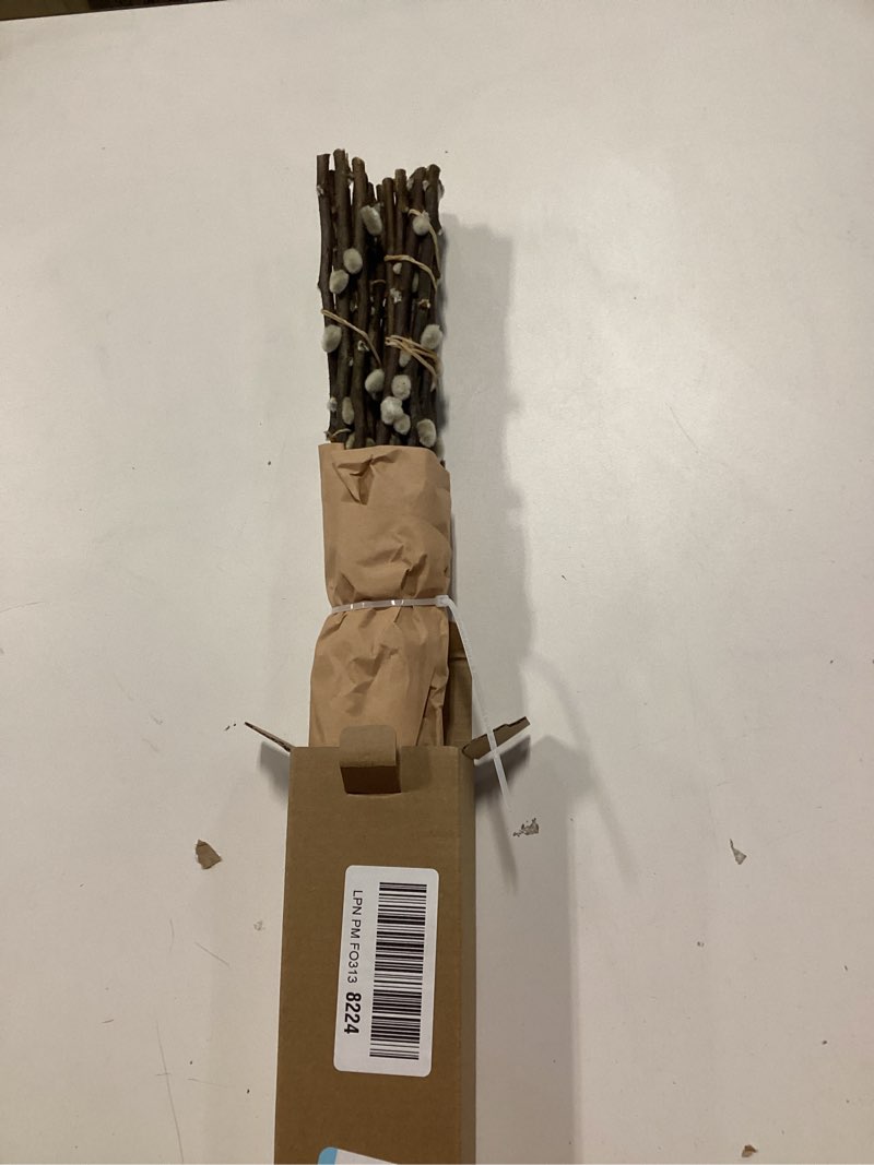 Condition photo showing Good Condition for 20PCS Real Dried PussyWillow Branches Tall 27 Inches Natural Decorative Branches with White Buds Long Birch Stems for Vase Spring Easter Home Decor