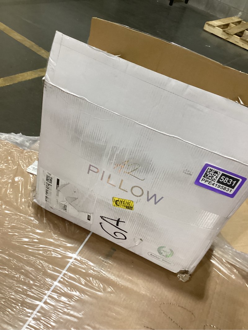 Condition photo showing New/Like New for pillow