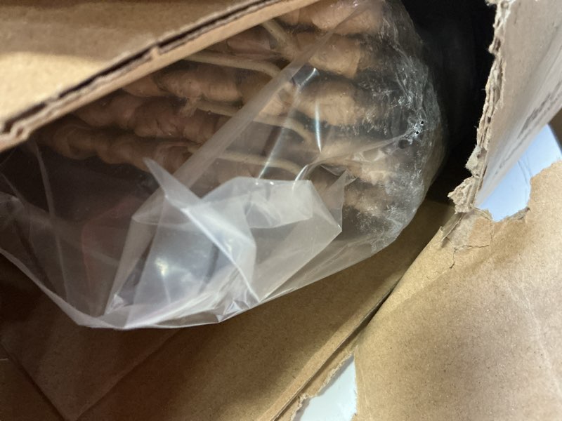 Condition photo showing Good Condition for 42" Wicker Christmas Tree Collar for Artificial Trees, Tree Basket Skirt for 9ft, Farmhouse Base Cover for Pencil,Extra Large Christmas Tree Collars, Handwoven from Seagrass Natural 42inch