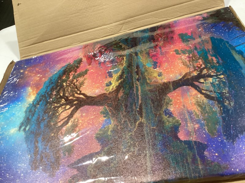 Condition photo showing Good Condition for canvas wall art framed landscape celestial galaxy starry night lake vibrant colorful fantasy impressionist modern vintage serene wall decor for living room office nature spiritual decor 16x24 inches big tree 24"l x 16"w