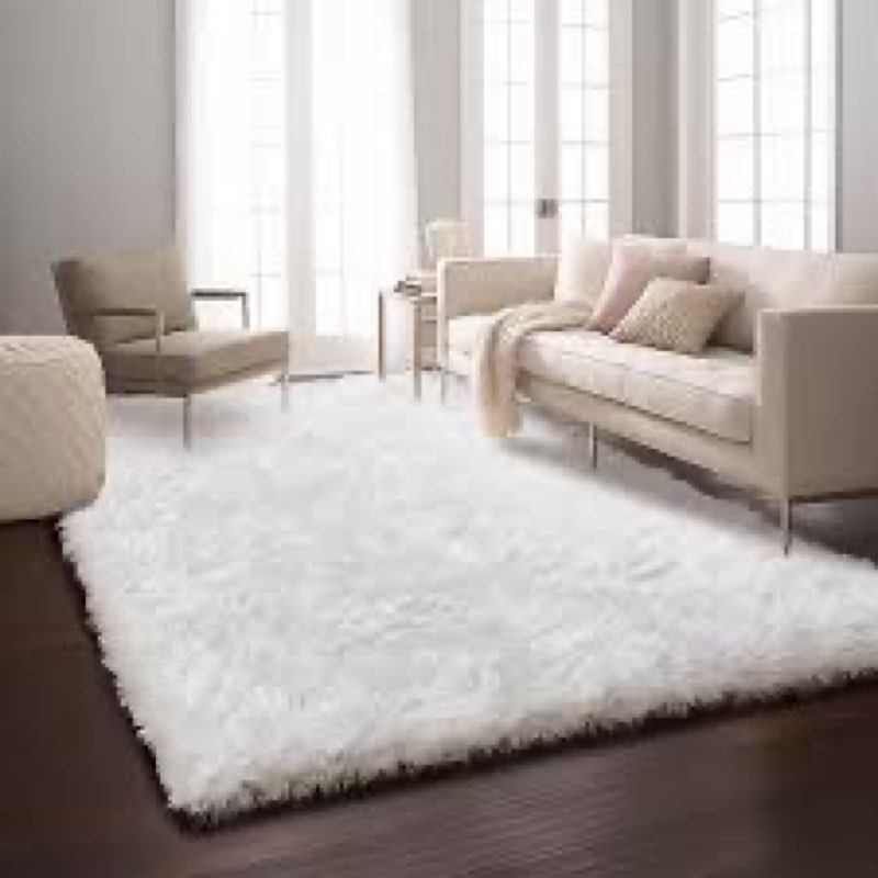 Ophanie 5x8 White Rugs for Living Room, Fluffy Fuzzy Plush Soft Carpets, Shaggy Area Rugs for Bedroo