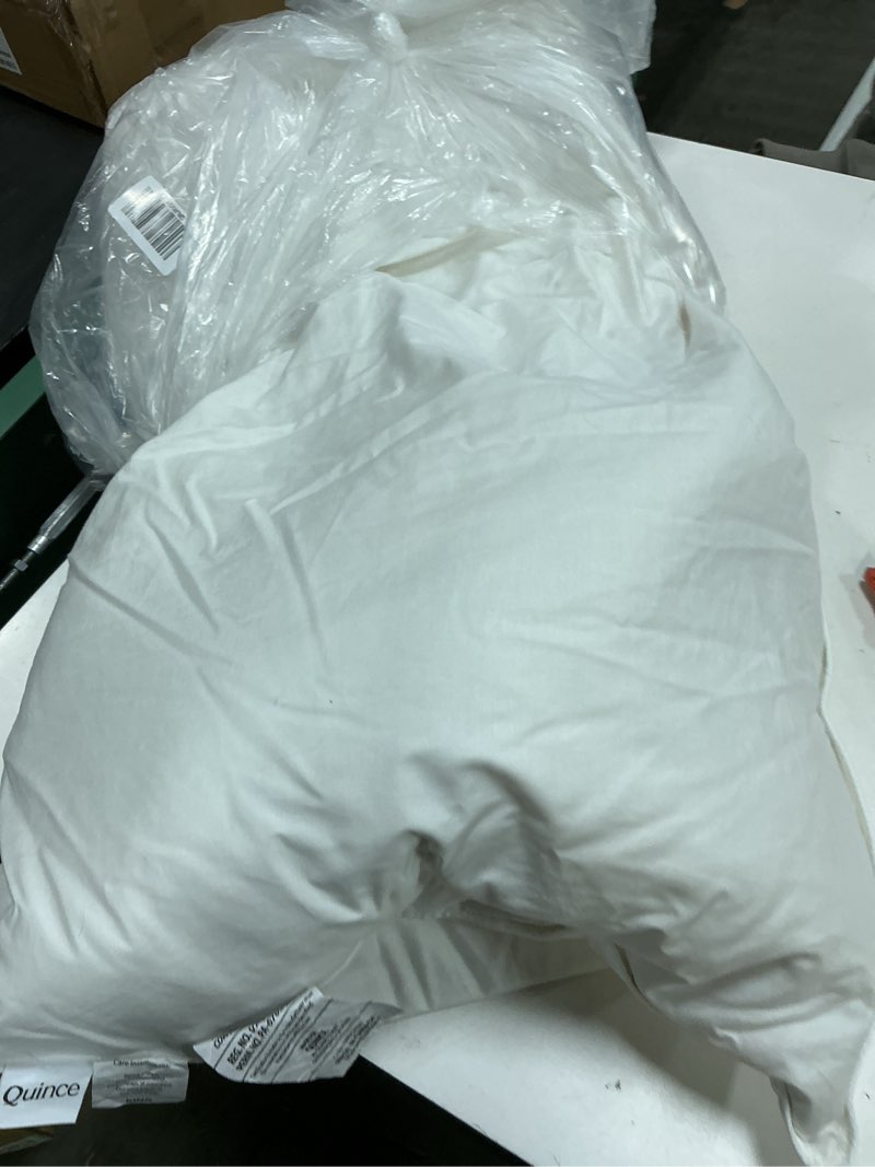 Condition photo showing As Is for premium down pillow, king, medium