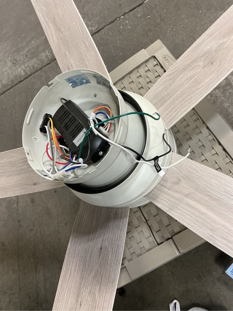 https://lotting-media.assets.bidfta.com/lotting_6cae0786-9a6e-4b7b-b22a-32526585c6dc