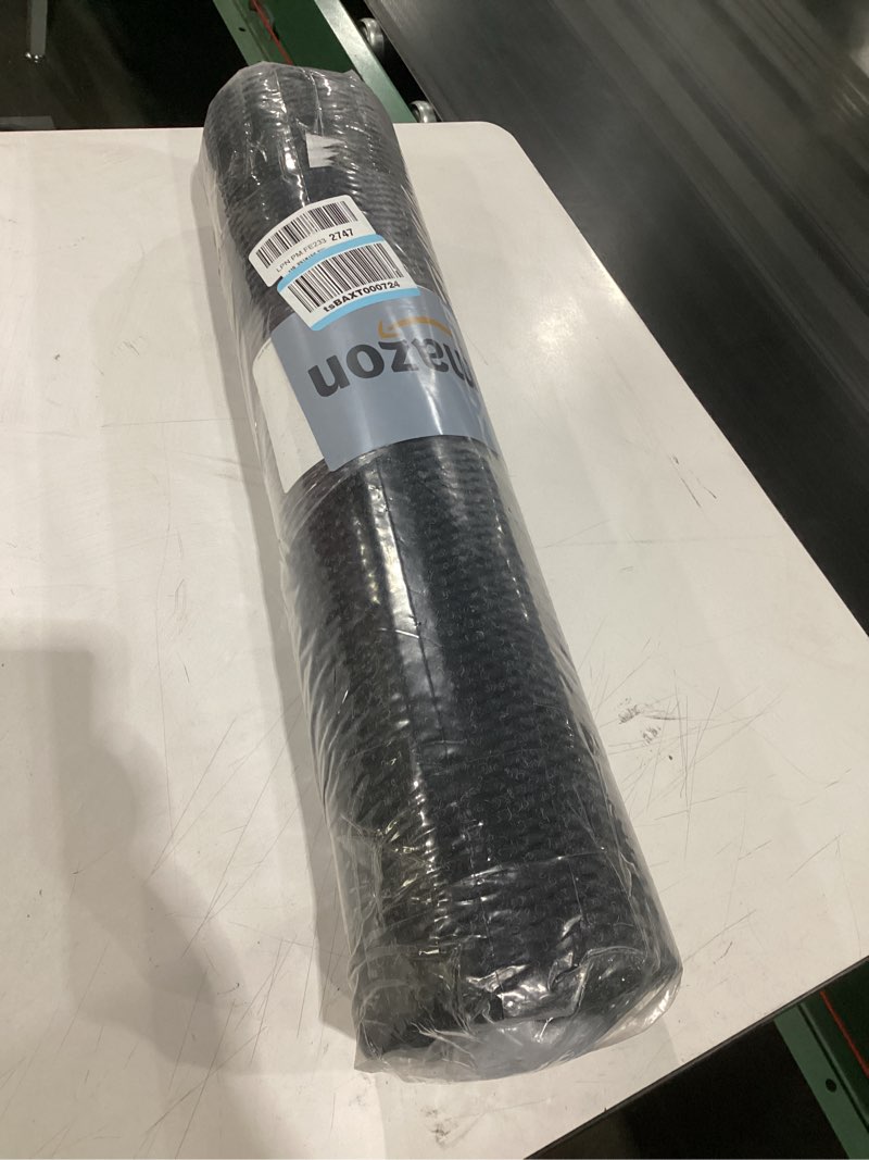 Entrance rug