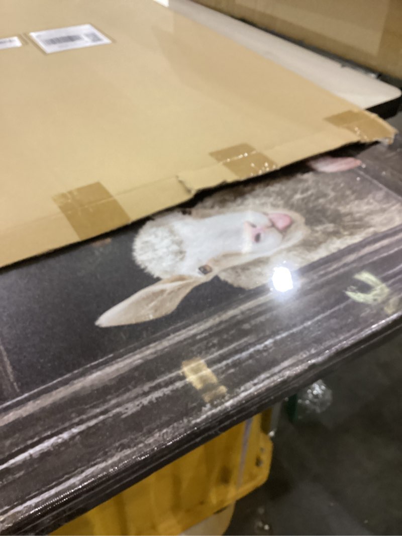 Condition photo showing New/Like New for Apicoture Funny Farm Animal Wall Art Cow in fake Window Canvas Wall Art Farmhouse Pictures for Farm Bedroom Living Room Home Decorations 20"x36"inch