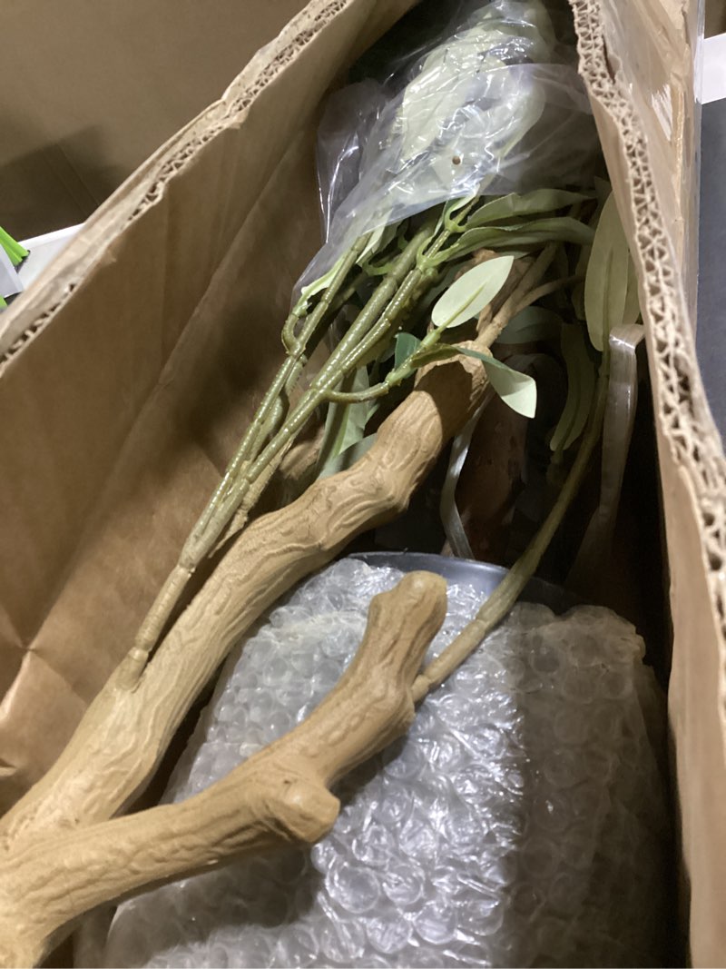 Condition photo showing Good Condition for Bellacat Faux Olive Tree 6ft?Olive Trees Artificial Indoor with Natural Wood Trunk and Realistic Leaves and Fruits. 6 Feet(72in) Fake Olive Tree for Home House Office Décor. 1 6ft