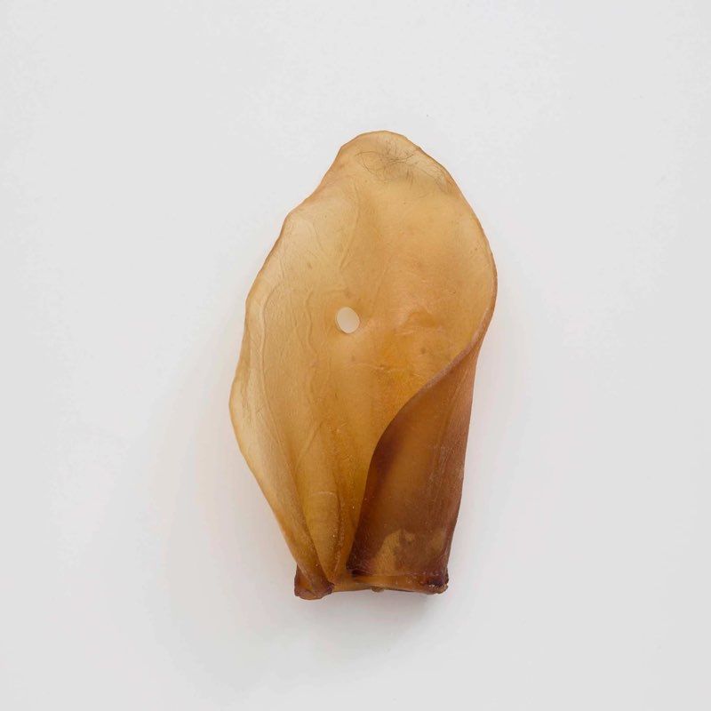 cow ears dog chews (50 count) | natural treats | promotes dental hygiene | reduces plaque | long-las