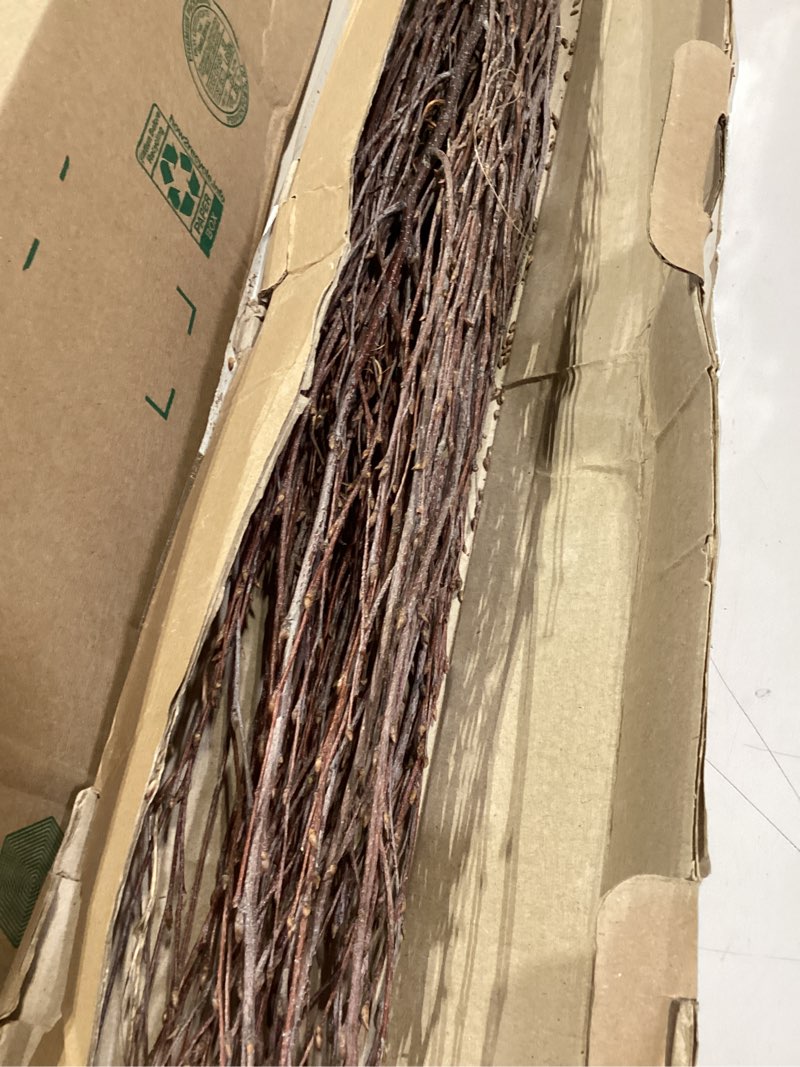 Condition photo showing Good Condition for ecovenik 25 psc - branches - 73 cm, natural birch twigs, pack of 20-25 stems, long for floor vases, 