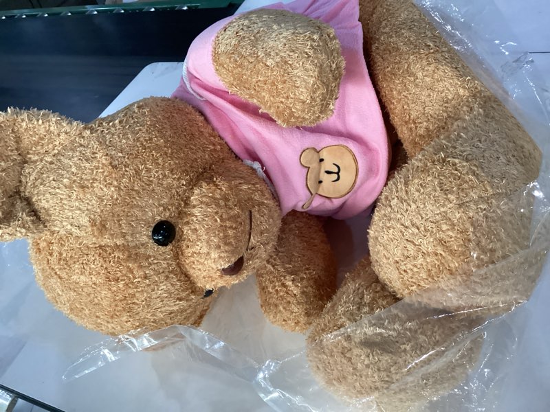 Condition photo showing Good Condition for ** unkown size or brand ** teddy bear stuffed animal cute teddy bear with hoodie plush toy for kids pink