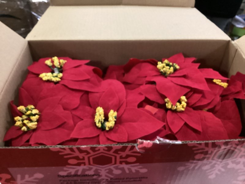 Condition photo showing New/Like New for 2 Pack 18" Lighted Large Artificial Poinsettias for Outdoors LED Poinsettia Flowers Artificial Faux Poinsettia Plants Poinsettia Christmas Decorations for Office Home Kitchen Decor Red 18