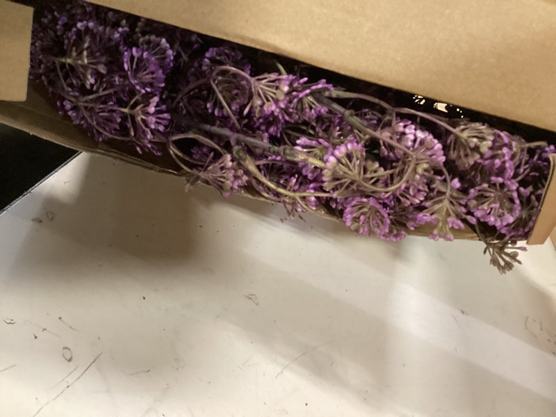 Condition photo showing Good Condition for zeyune 5 pcs purple faux berry stems spring artificial dusty plum stem soft plum sedum berry picks branches faux spray for home wedding holiday seasonal farmhouse mantel diy home decorations 5 purple