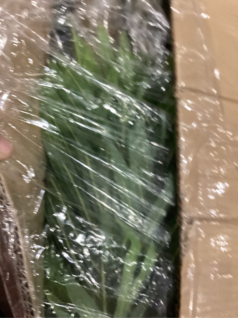 Condition photo showing New/Like New for 2 pack artificial areca palm tree plant, 6 feet fake palm tree for indoor outdoor modern decoration faux dypsis lutescens plants in pot for home office decor
